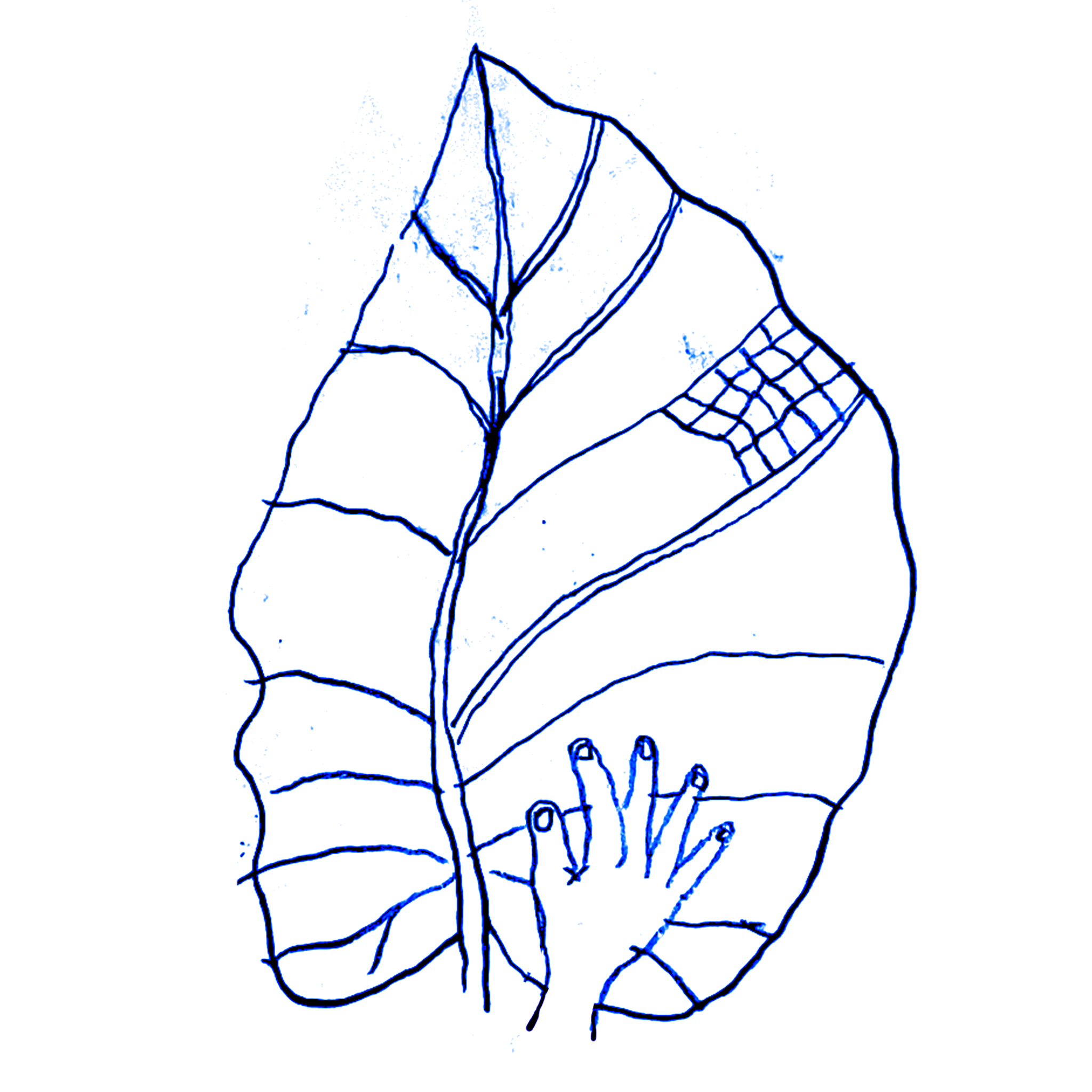 Blueleaf Systems Logo